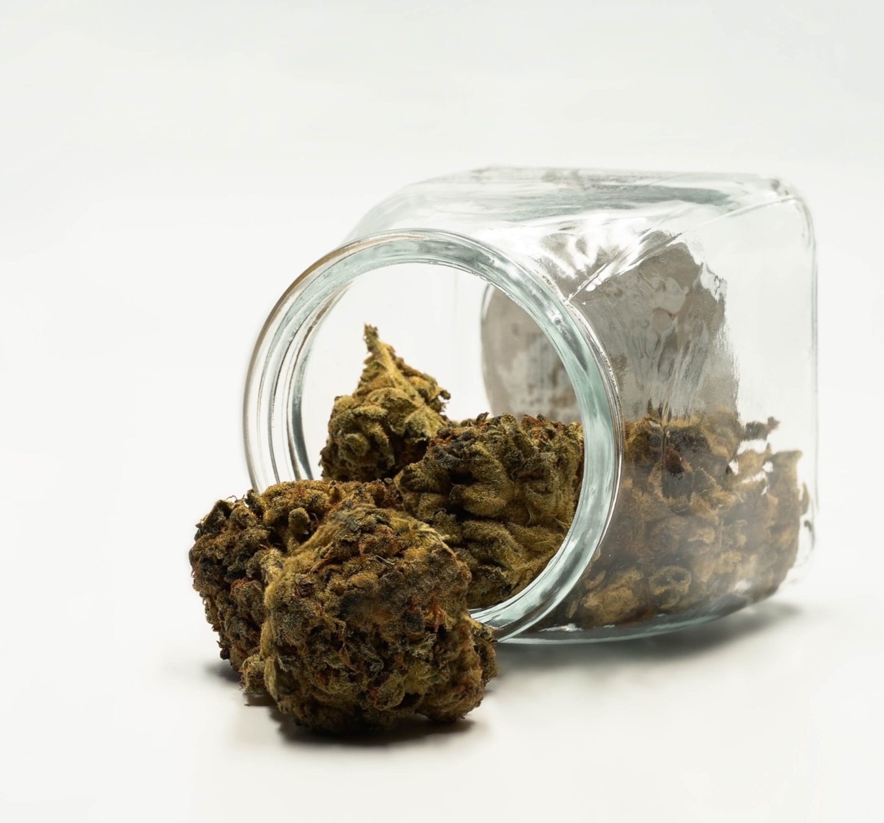 Getrocknete Cannabisblüten vor einem liegenden Glasbehälter