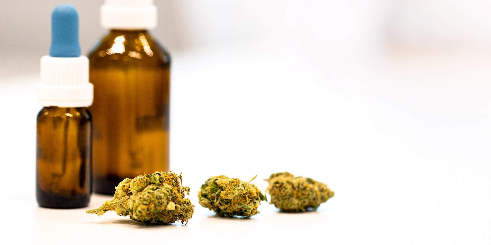 Zwei Braunglas-Tropffläschchen und getrocknete Cannabisblüten auf weissem Hintergrund